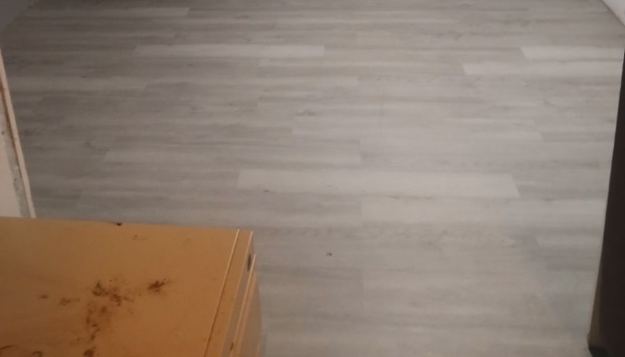 Brandy's room