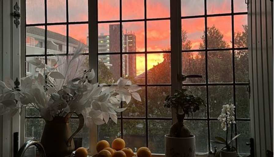 Taylor Ellie-May Ackermann's room