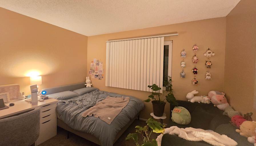 Evely's room