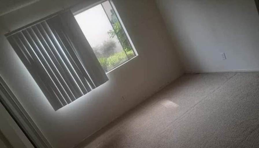Summer's room
