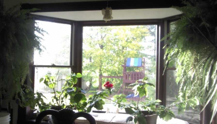 Jerry's room
