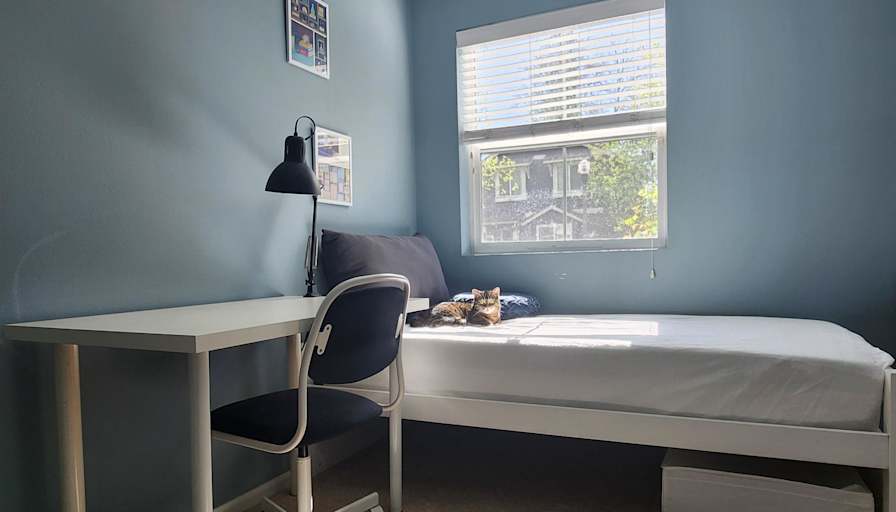 Jennie's room