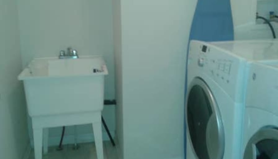 Shaheen's room