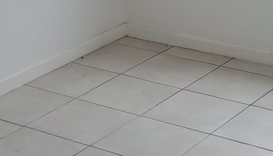 Dee's room