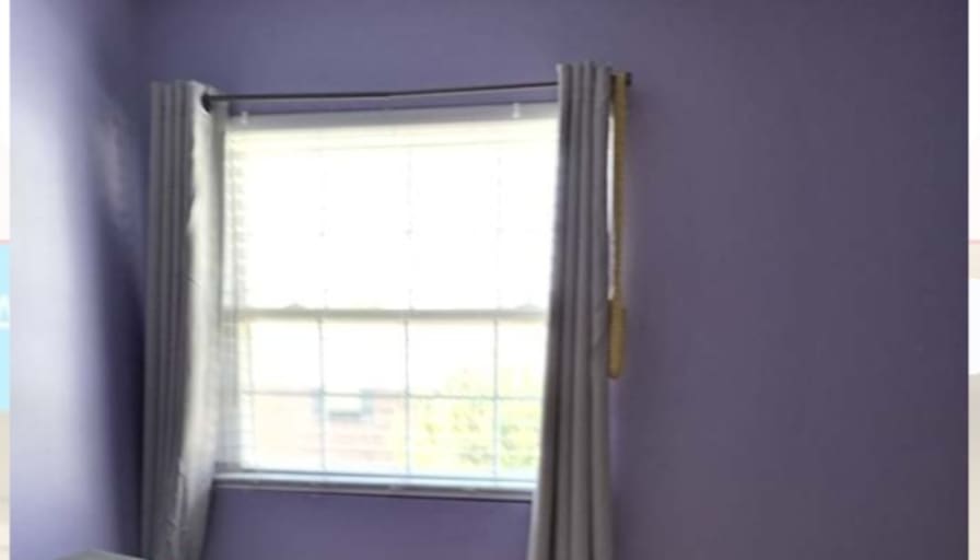 Judi's room