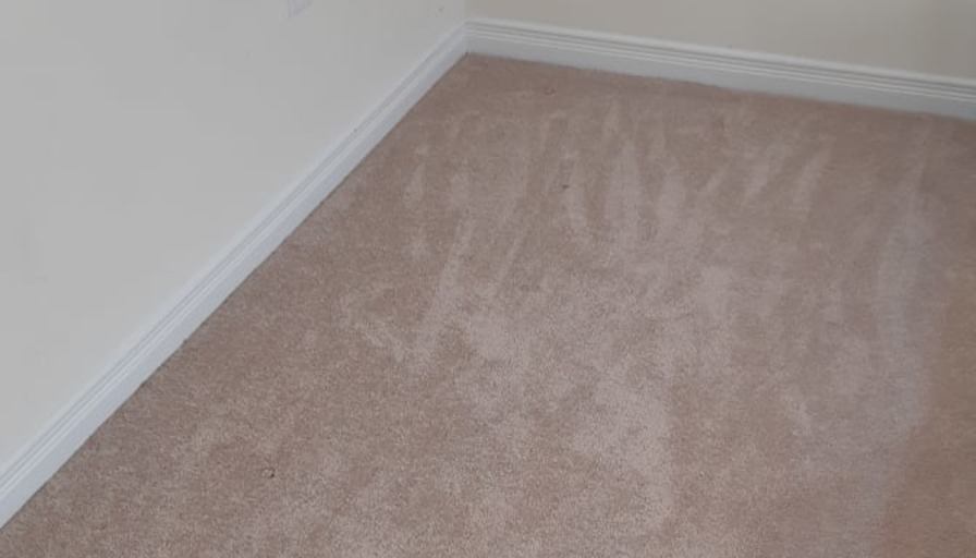 Shaheen's room