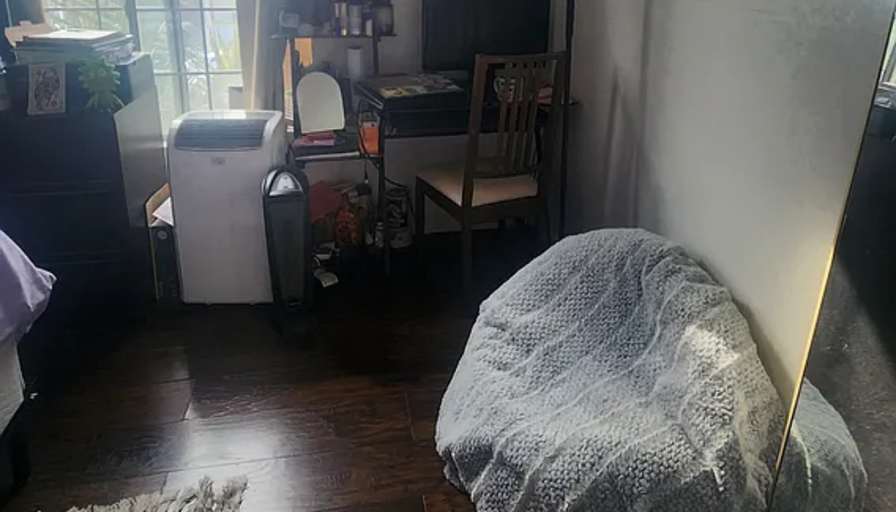 Student Housing's room