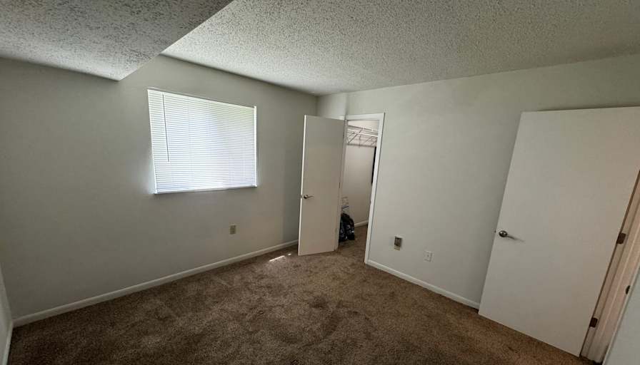 Omar's room