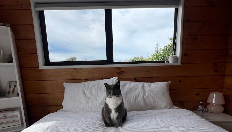 Aj's room