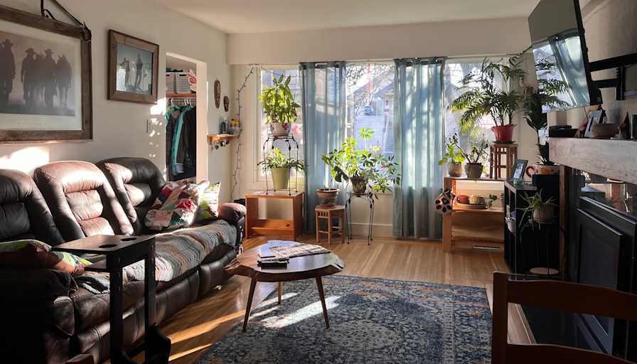 Celina's room