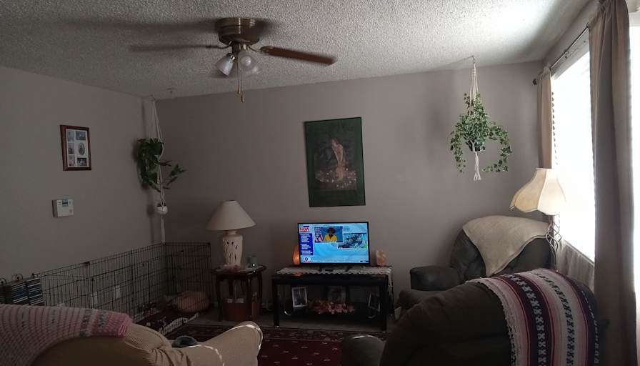 Shaneesta A Coker's room