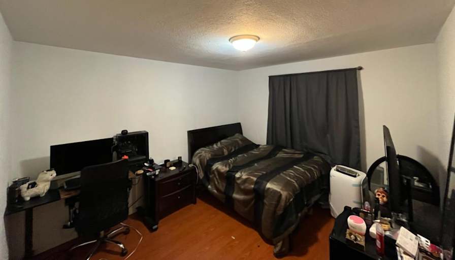 Mayra's room