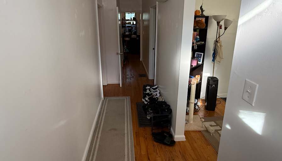 Noah's room