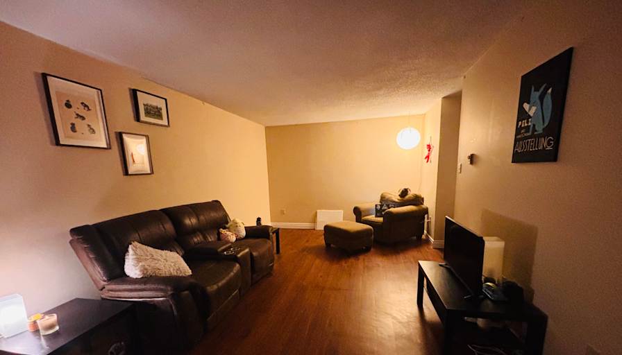 Rachel's room