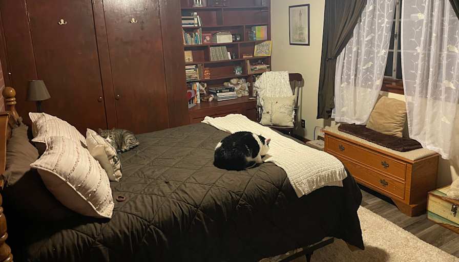 Ann's room