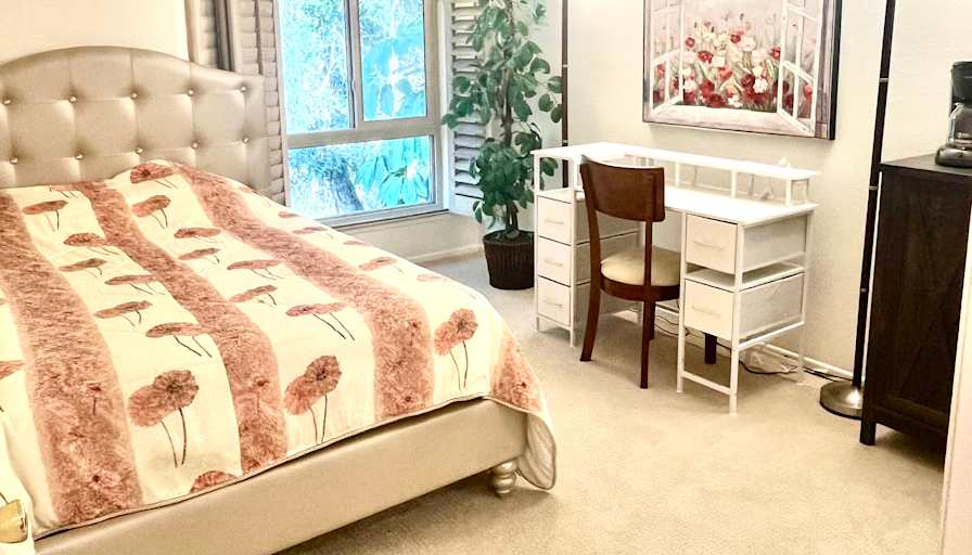 Vahid's room