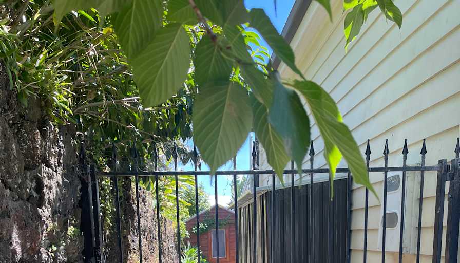 Grey Lynn Home's room