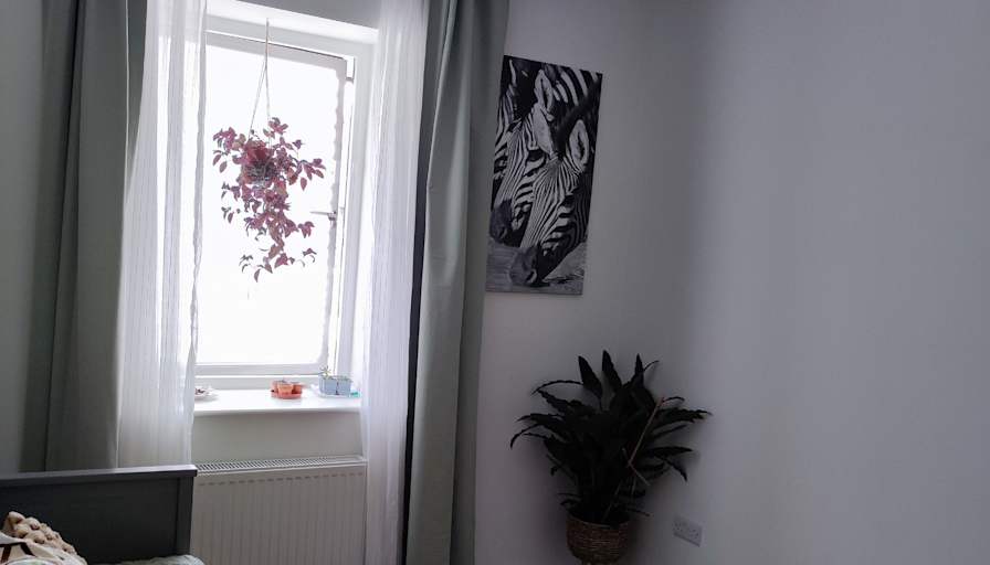 Ele's room