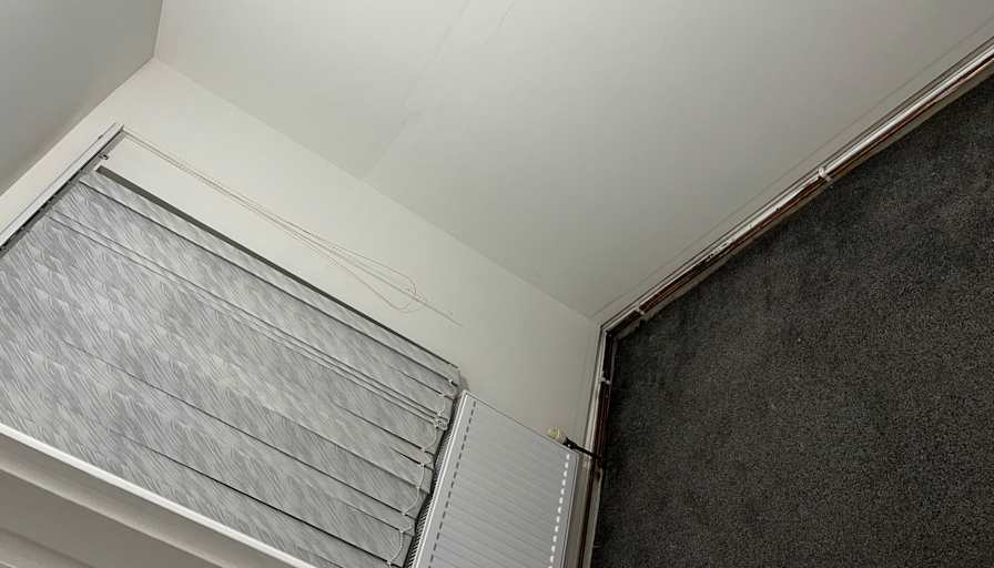 rupeenna's room
