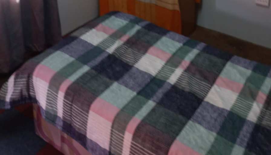 Willows on Bartlett's room