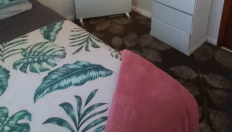 Camillia's room