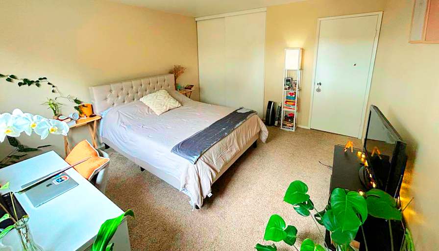 Mica's room
