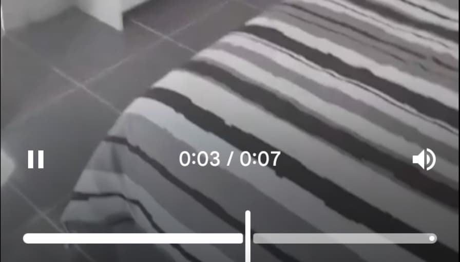 Sharky bester's room