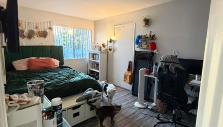 Jane's room