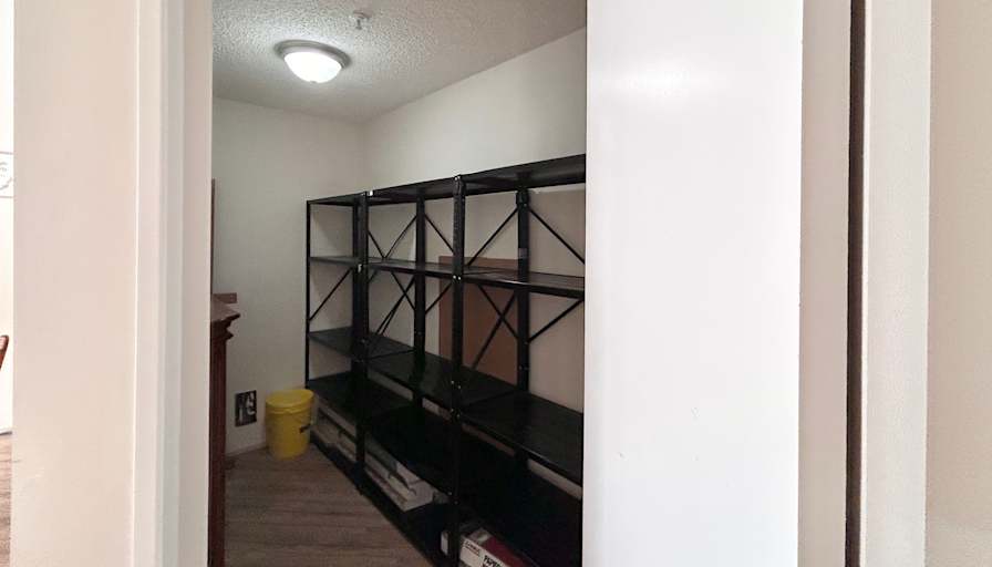 Sun's room