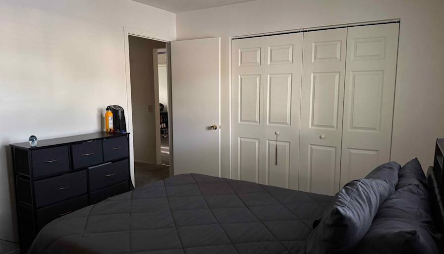 Conal Colamarino's room