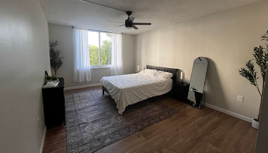 luis villalta's room