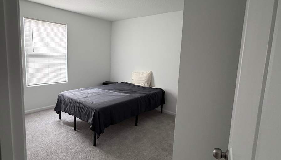 Reign of Hope's room