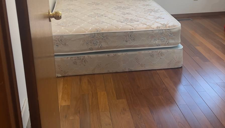 Lily's room
