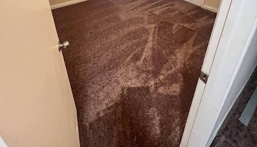 Ozzy Lopez's room