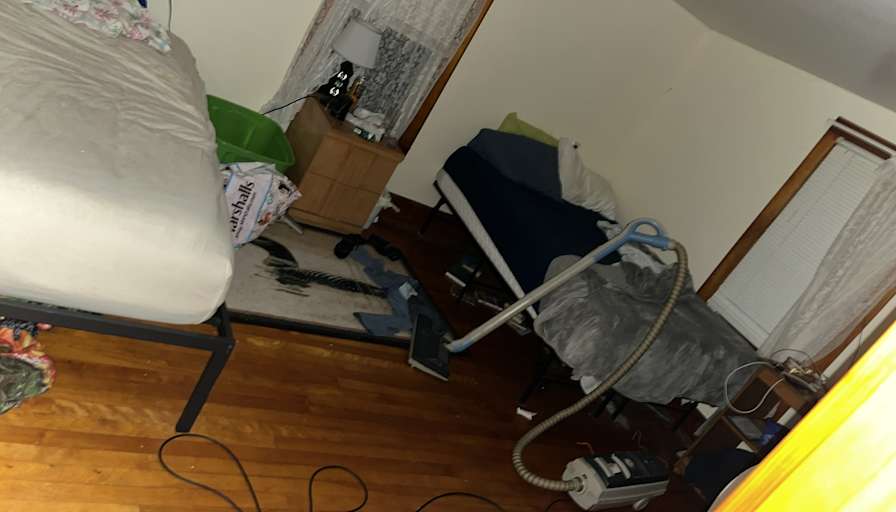 Noah's room