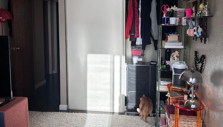 Rachel's room