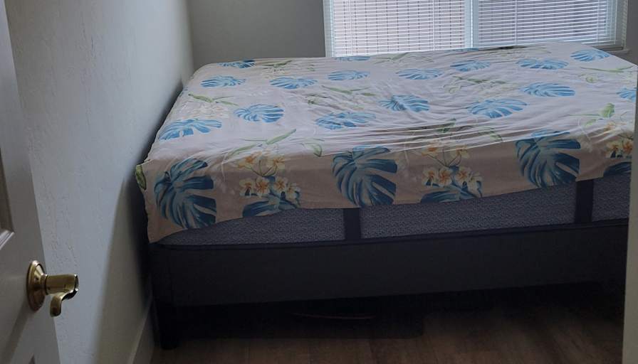Satish's room