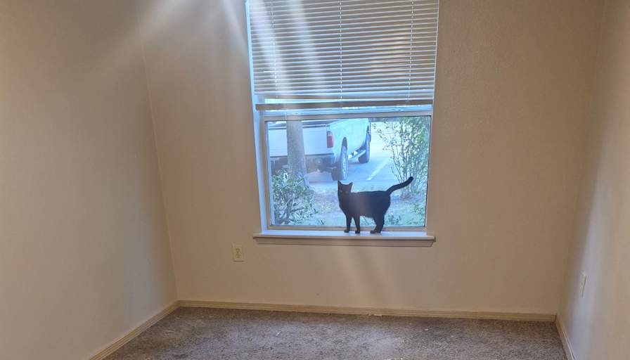 Ethan's room