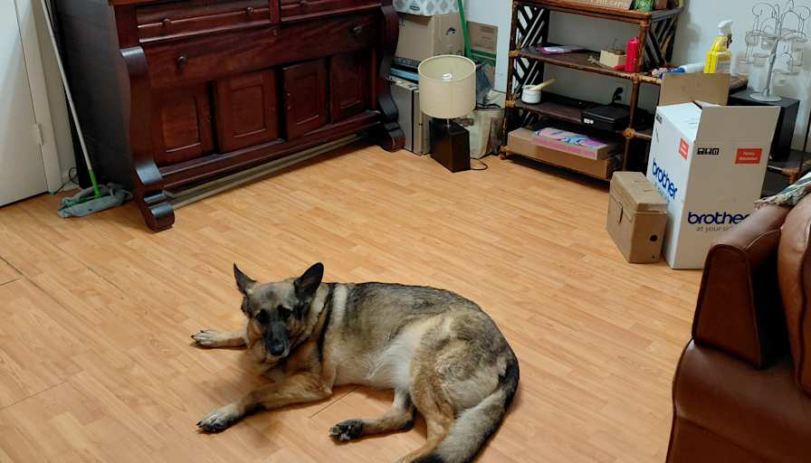 James's room