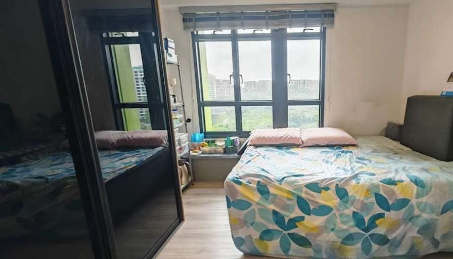 adaighy's room