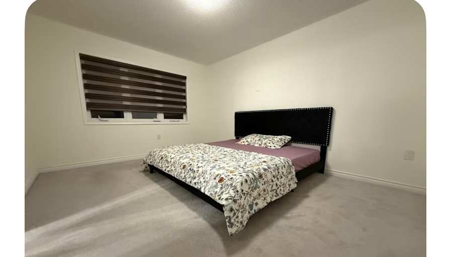 Rauf's room