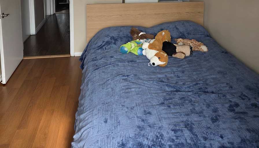 Paul or Xander's room
