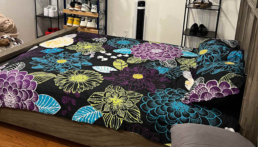 Marisela loncaric's room
