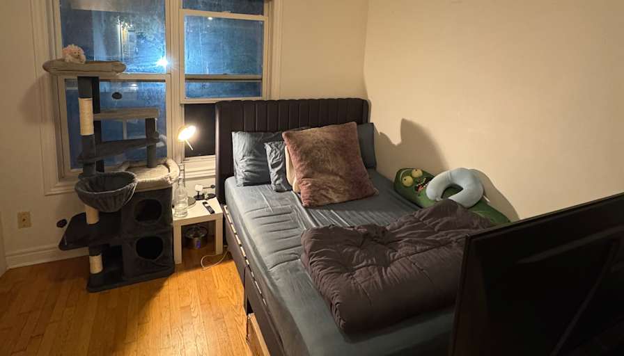 Parth's room