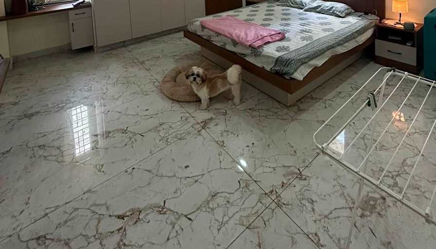LOHITHA's room