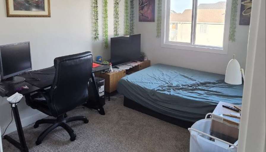 Cayden's room