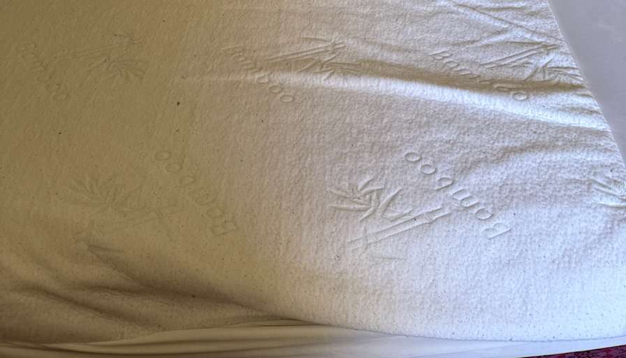 Corina Stevens's room