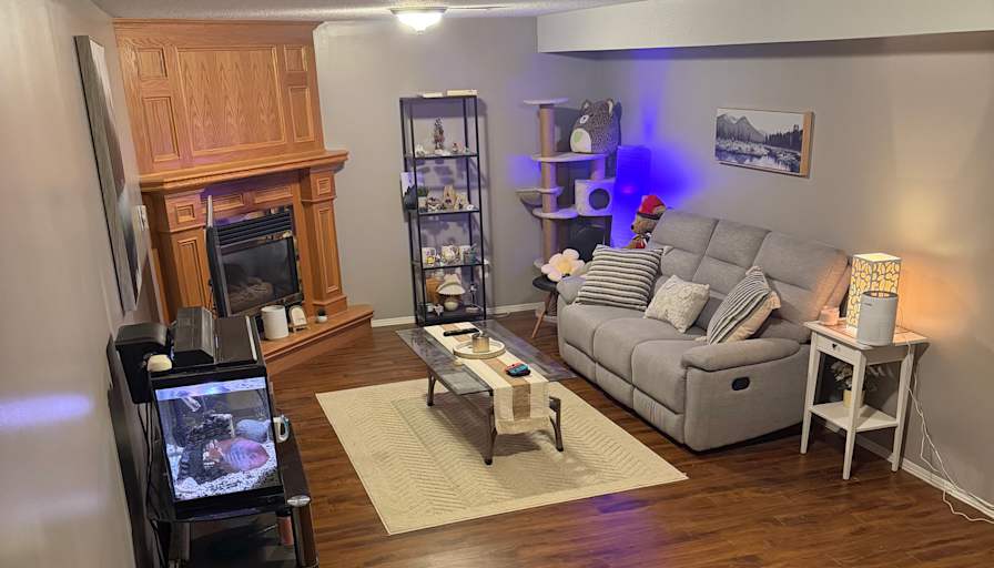 Alicia Alexandre's room