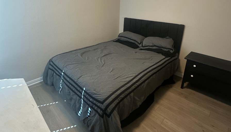 David's room