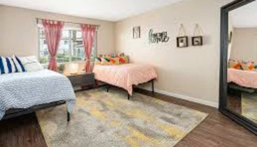 Rachel Yeddu's room